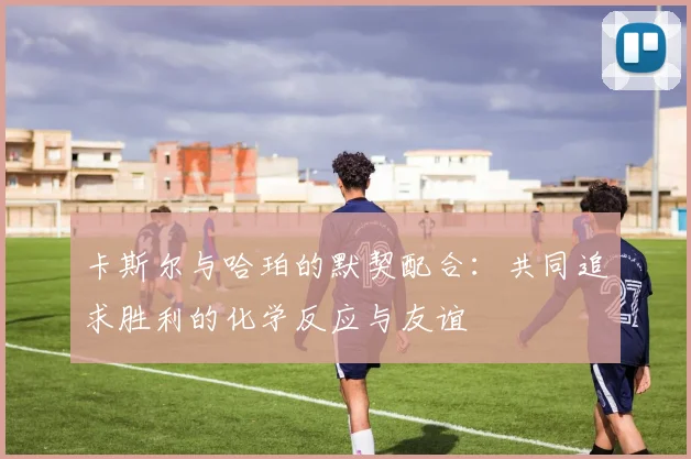 卡斯尔与哈珀的默契配合：共同追求胜利的化学反应与友谊