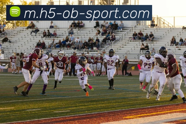 OB体育APP 体育赛事宣传图